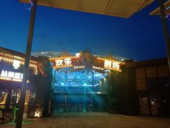 -三亚海昌梦幻海洋不夜城