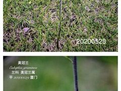 -筼筜书院