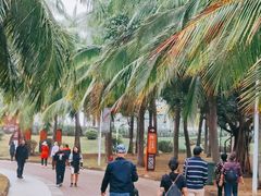 -白沙门生态公园