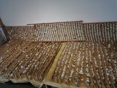-苏州丝绸博物馆