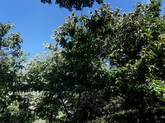 -天目湖涵田半山温泉