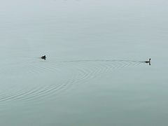 -漳泽水库水上公园