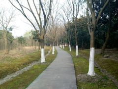 -昆山城市生态森林公园