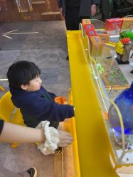 点击看大图 -神奇动物撸宠馆·羊驼·小浣熊·异宠(豫园店)