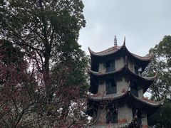 -成都杜甫草堂博物馆