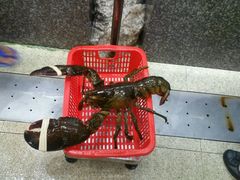 -蚝专家(北滘店)