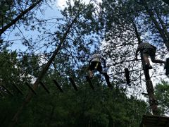 -梦幻奥陶纪景区