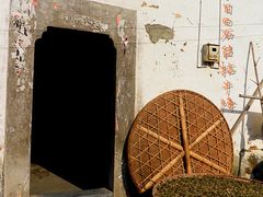 -祁门牯牛降观音堂风景区