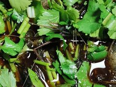 -风味小吃(浦东南路2368)