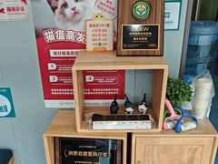 -伟伟宠物医院·瑞派猫友好医院·猫科(光谷店)