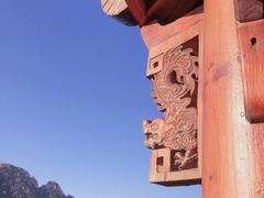 -大岭沟猕猴桃谷风景区