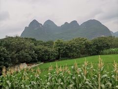 -明仕田园