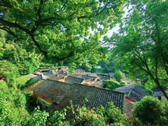 -杨家堂村