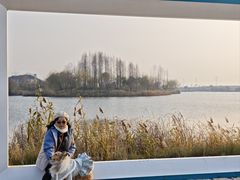 -杭州湾海上花田景区