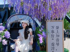 -武汉知音号