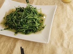 白灼有机豆苗-学成饭店(北辰店)