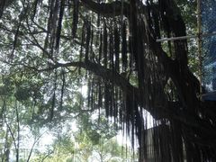 -烟台山景区