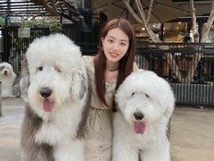 -TrueLove @ Neverland (Husky Cafe)
