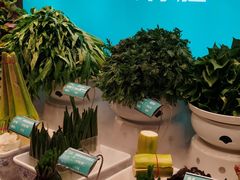 -筱爷叔·上海传统手工菜(新桥店)