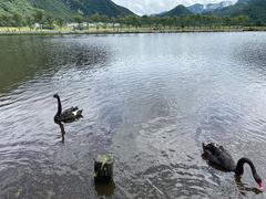 -大九湖