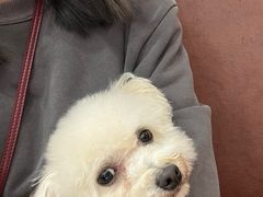 -安安宠医宠物医院·异宠·犬猫内科(岳阳分院)