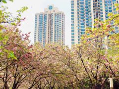 -苏州河梦清园环保主题公园