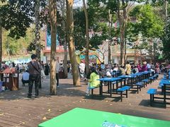 -西双版纳原始森林公园
