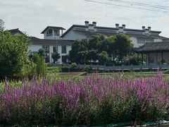 -八大山人梅湖景区
