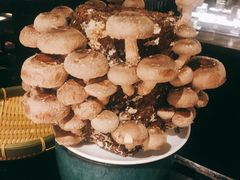 -捞王锅物料理(凯旋路店)