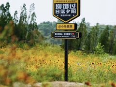 -伏羲山旅游区