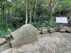 -上海佘山国家森林公园天马山园