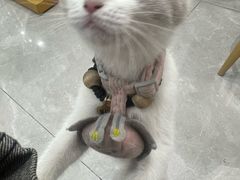 -拍刻风照相馆(南山西丽店)