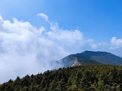 -白草畔自然风景区