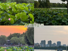 -济南大明湖景区