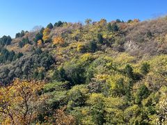 -北京西山国家森林公园