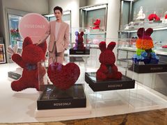 -ROSEONLY诺誓(广州K11店)