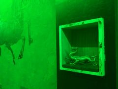 -MOJO密室逃脱(中街旗舰店)