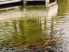 -花洲书院