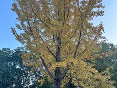 -杭州城北体育公园