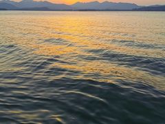 -西湖外事游船(湖滨二公园外事游船码头)