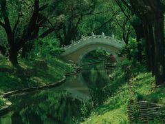 -北坞公园