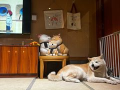 -大江户·温泉洗浴(浑南店)
