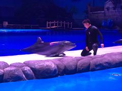 -华夏文旅海洋公园