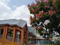-屯门公园