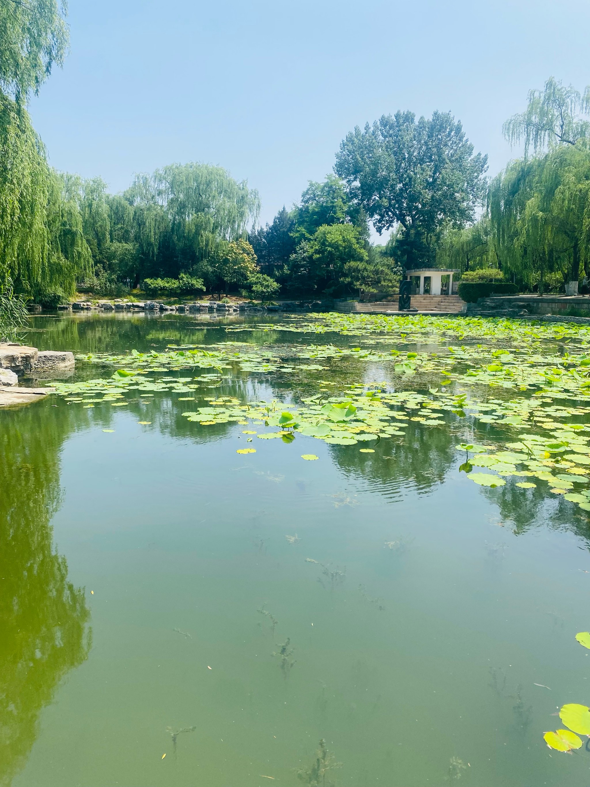 清华大学八大景点图片图片