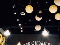 -DM CHICKEN 分米鸡