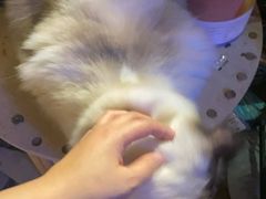 -南京天堂隔壁酒吧