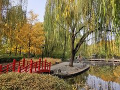-玲珑塔公园