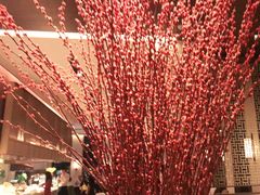 -嘉定凯悦·咖啡厅