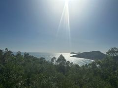 -广东惠东海龟国家级自然保护区